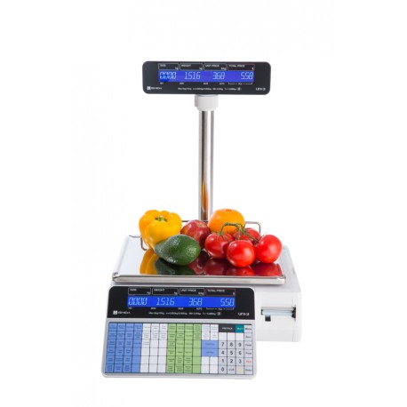 Ishida - UNI3-L1-POLE