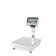 Ishida - IWB30 PLATFORM Scale